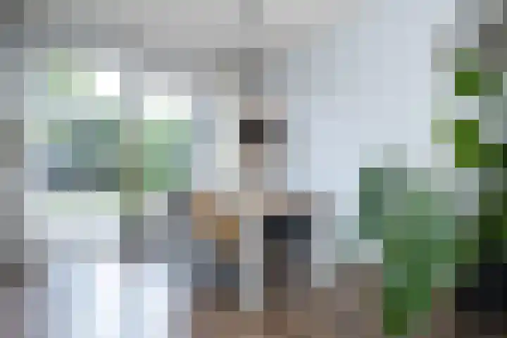 Julianastraat 17 A in Kaatsheuvel