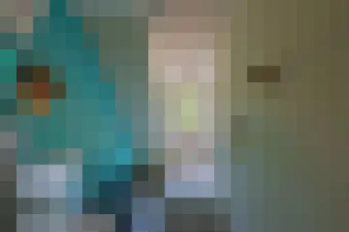 Julianastraat 17 Groot-Ammers thumbnail 30