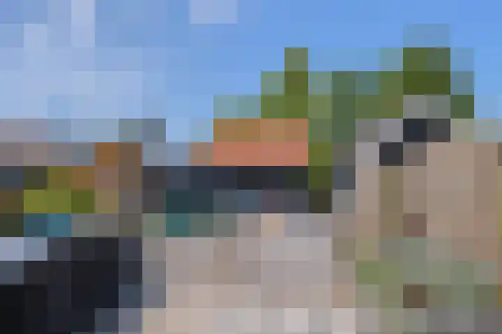 Julianastraat 17 Groot-Ammers thumbnail 31