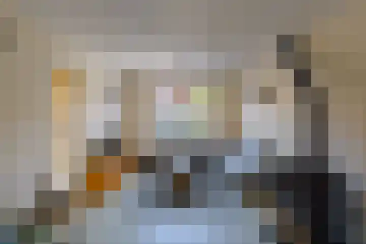 Julianastraat 17 Groot-Ammers thumbnail 4