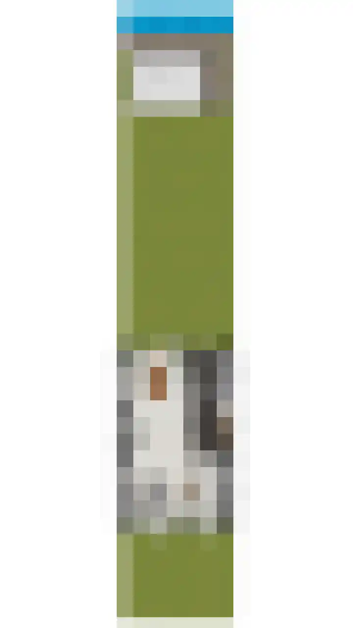 Julianastraat 17 Groot-Ammers thumbnail 42