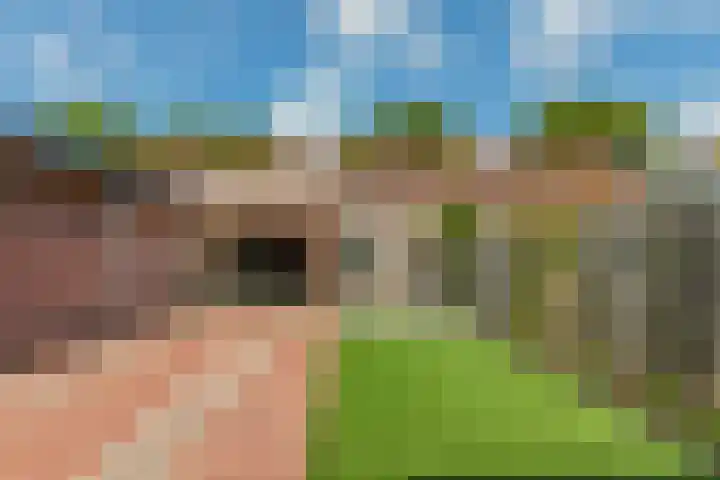 Julianastraat 32 Cuijk thumbnail 25