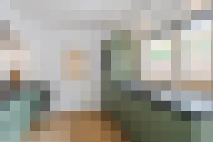 Julianastraat 4 Mill thumbnail 13