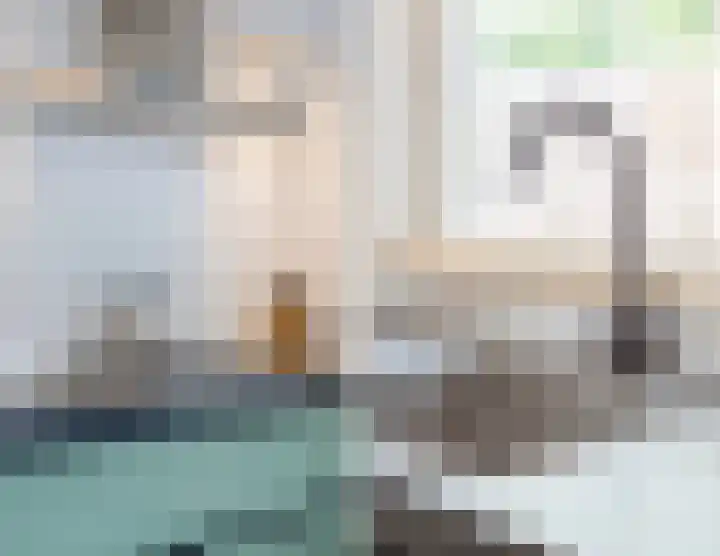 Julianastraat 4 Mill thumbnail 15