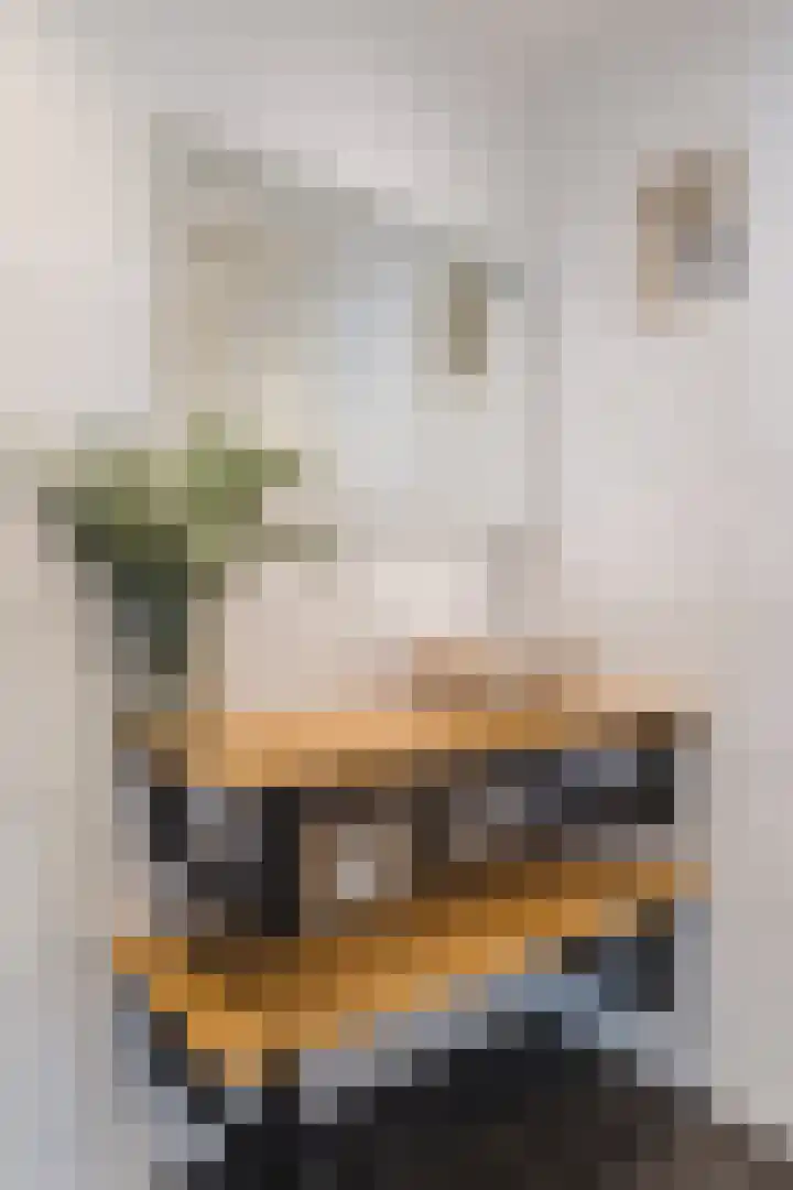 Julianastraat 4 Mill thumbnail 25