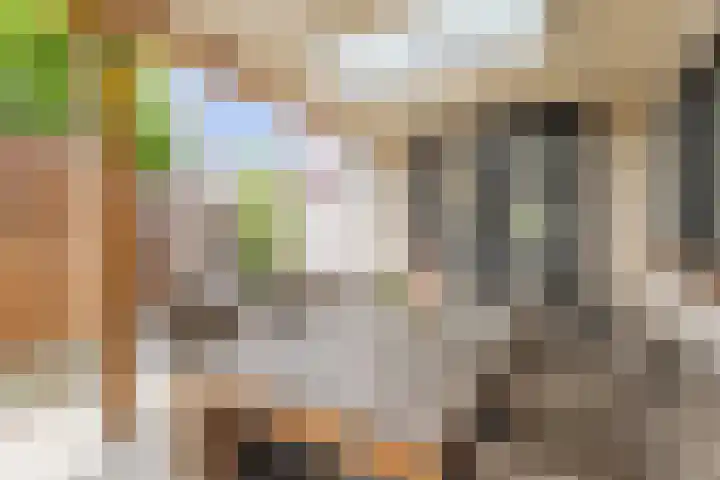 Julianastraat 4 Mill thumbnail 28