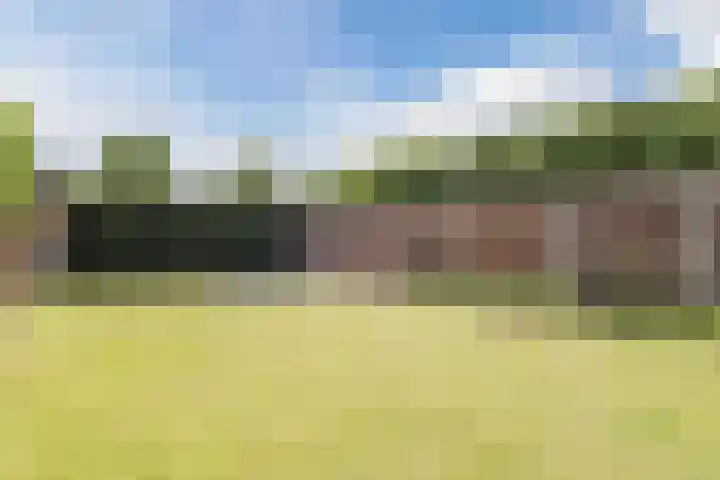 Julianastraat 4 Mill thumbnail 32