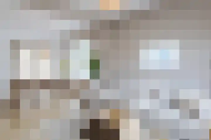 Julianastraat 4 Mill thumbnail 9