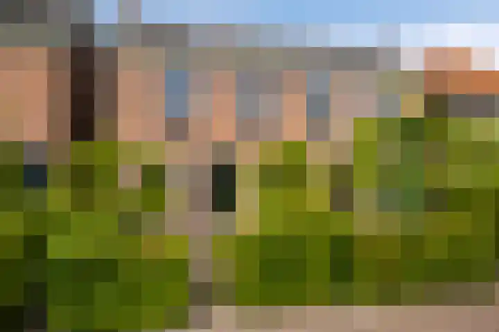 Julianastraat 55 in Veenendaal