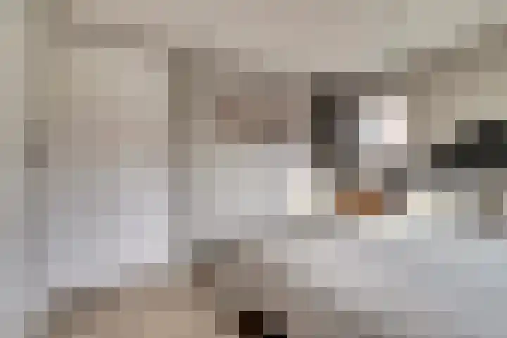 Julianastraat 75 Waarde thumbnail 23
