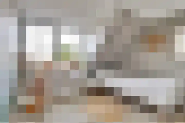 Julianastraat 75 Waarde thumbnail 24