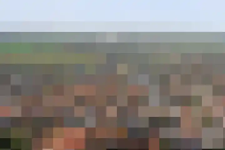 Julianastraat 75 Waarde thumbnail 41