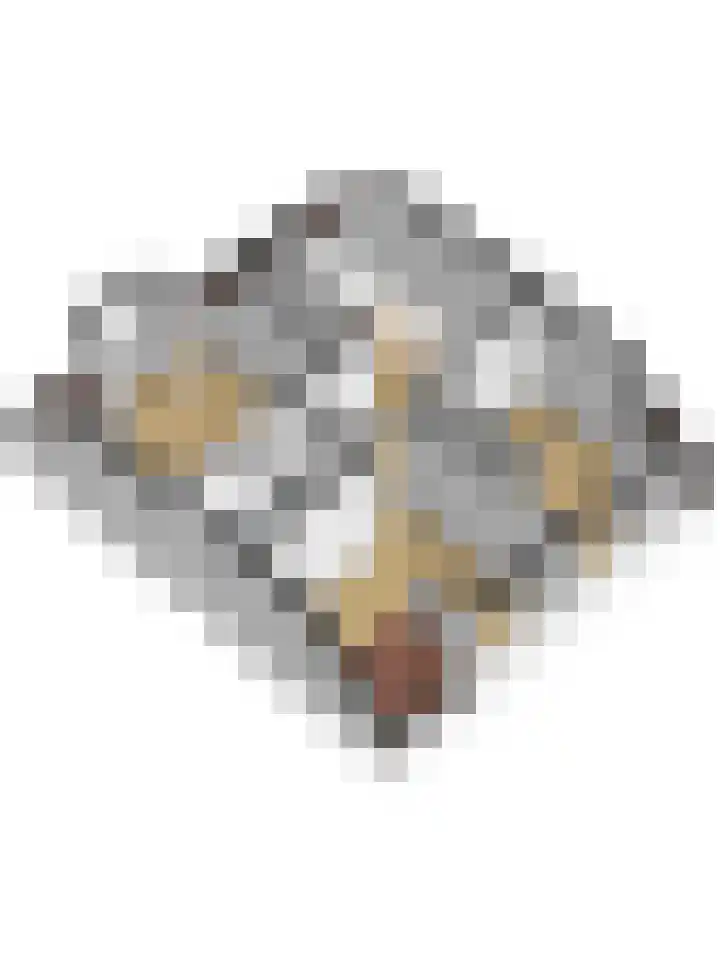 Julianastraat 75 Waarde thumbnail 49