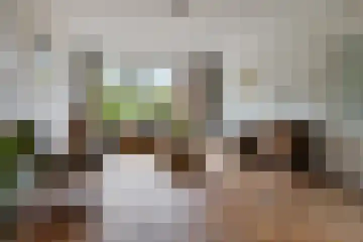 Julianaweg 4 Appingedam thumbnail 14