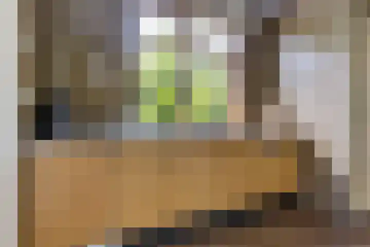 Julianaweg 4 Appingedam thumbnail 21