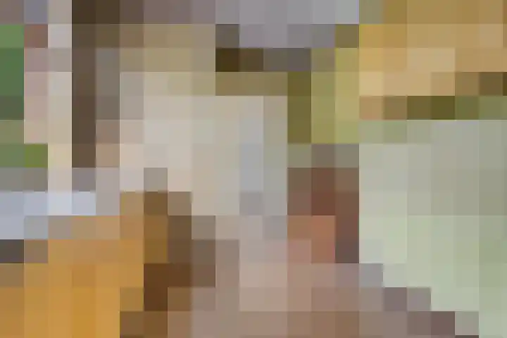 Julianaweg 4 Appingedam thumbnail 23
