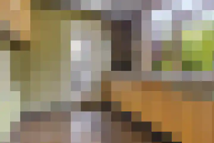 Julianaweg 4 Appingedam thumbnail 24
