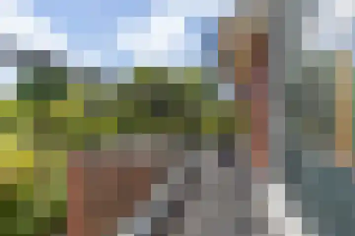Julianaweg 4 Appingedam thumbnail 33