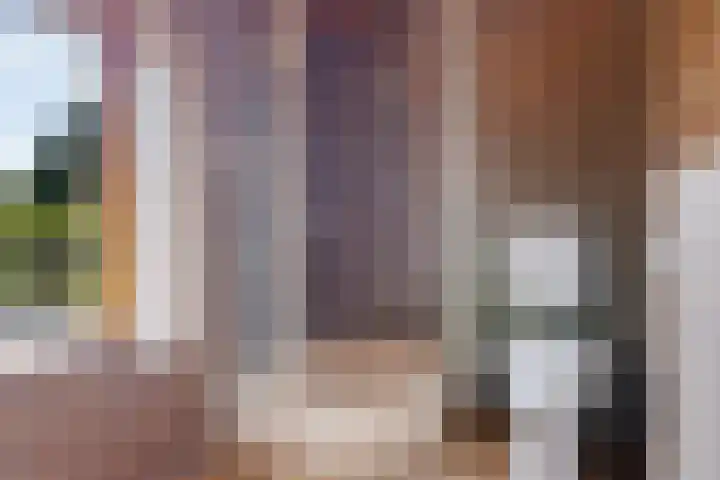 Julianaweg 4 Appingedam thumbnail 36