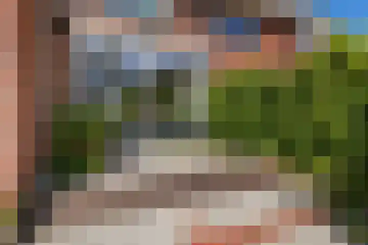 Julianaweg 4 Appingedam thumbnail 47