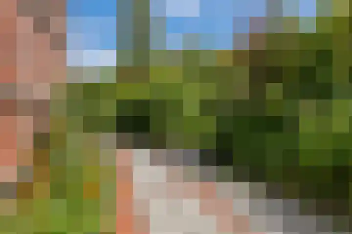 Julianaweg 4 Appingedam thumbnail 48