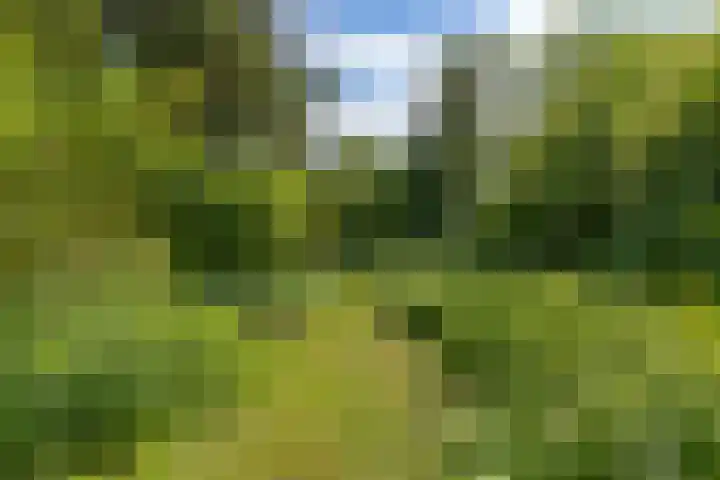 Julianaweg 4 Appingedam thumbnail 50