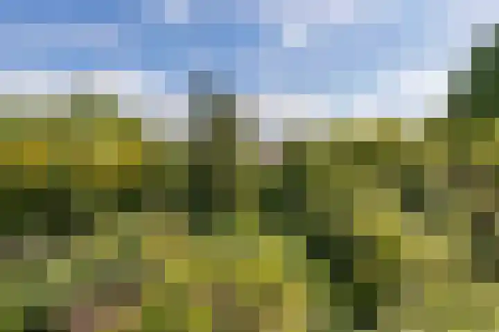 Julianaweg 4 Appingedam thumbnail 53