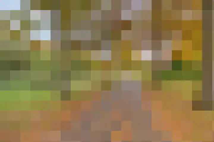 Julistraat 69 Almere thumbnail 42