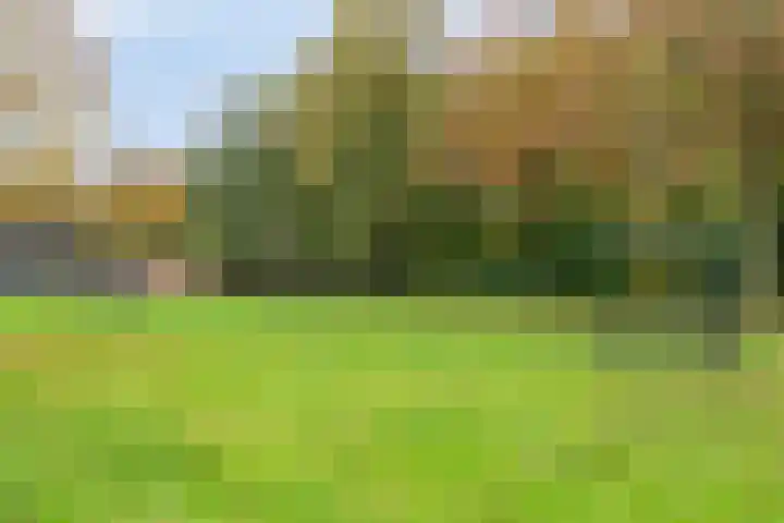 Julistraat 69 Almere thumbnail 44