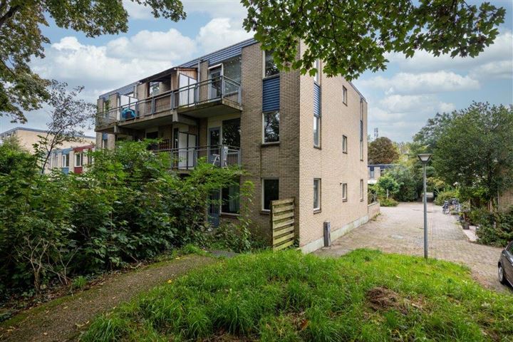 Jungfrau 20 in Utrecht foto