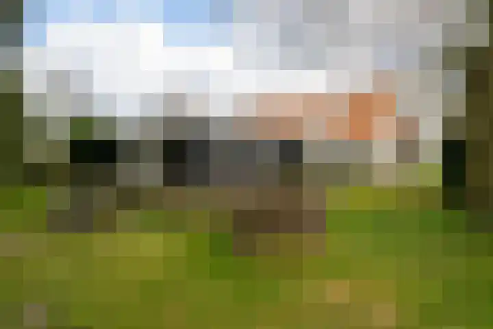 Junnerweg 9 Stegeren thumbnail 13