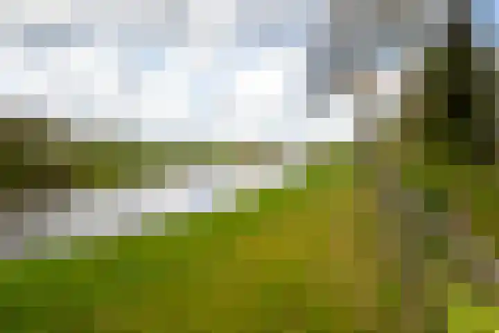 Junnerweg 9 Stegeren thumbnail 15