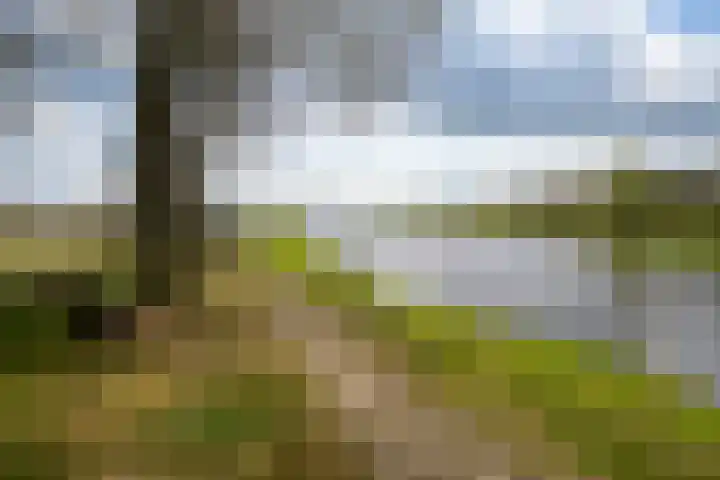Junnerweg 9 Stegeren thumbnail 16
