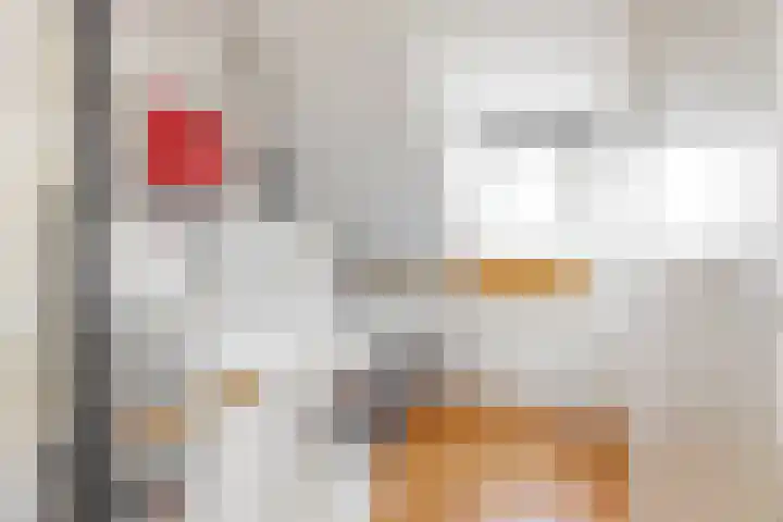 Juno 11 Wijk bij Duurstede thumbnail 21