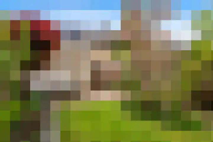 Juno 11 Wijk bij Duurstede thumbnail 26