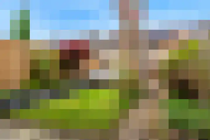 Juno 11 Wijk bij Duurstede thumbnail 27