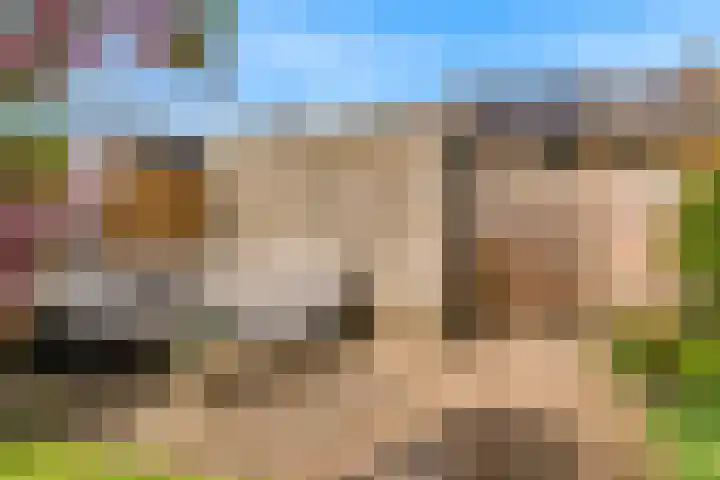 Juno 11 Wijk bij Duurstede thumbnail 29