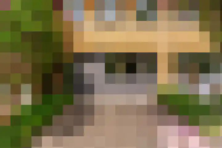 Juno 11 Wijk bij Duurstede thumbnail 33