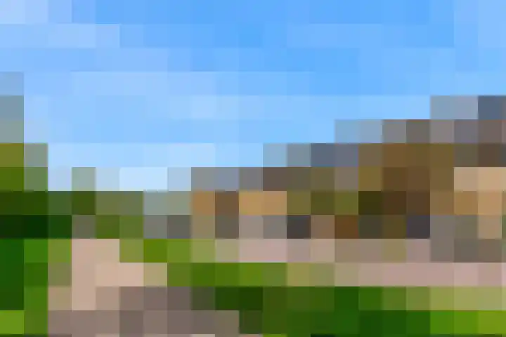 Juno 11 Wijk bij Duurstede thumbnail 34