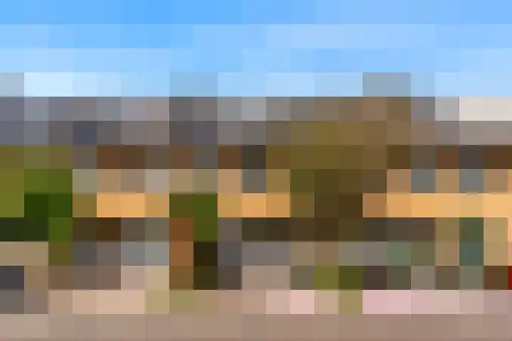 Juno 11 Wijk bij Duurstede thumbnail 40
