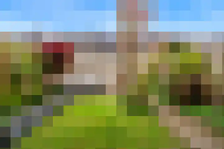 Juno 11 Wijk bij Duurstede thumbnail 5
