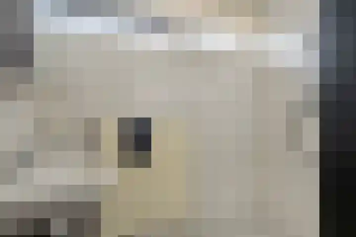 Juno 3 Veldhoven thumbnail 14