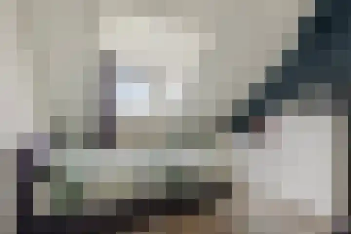 Juno 3 Veldhoven thumbnail 16