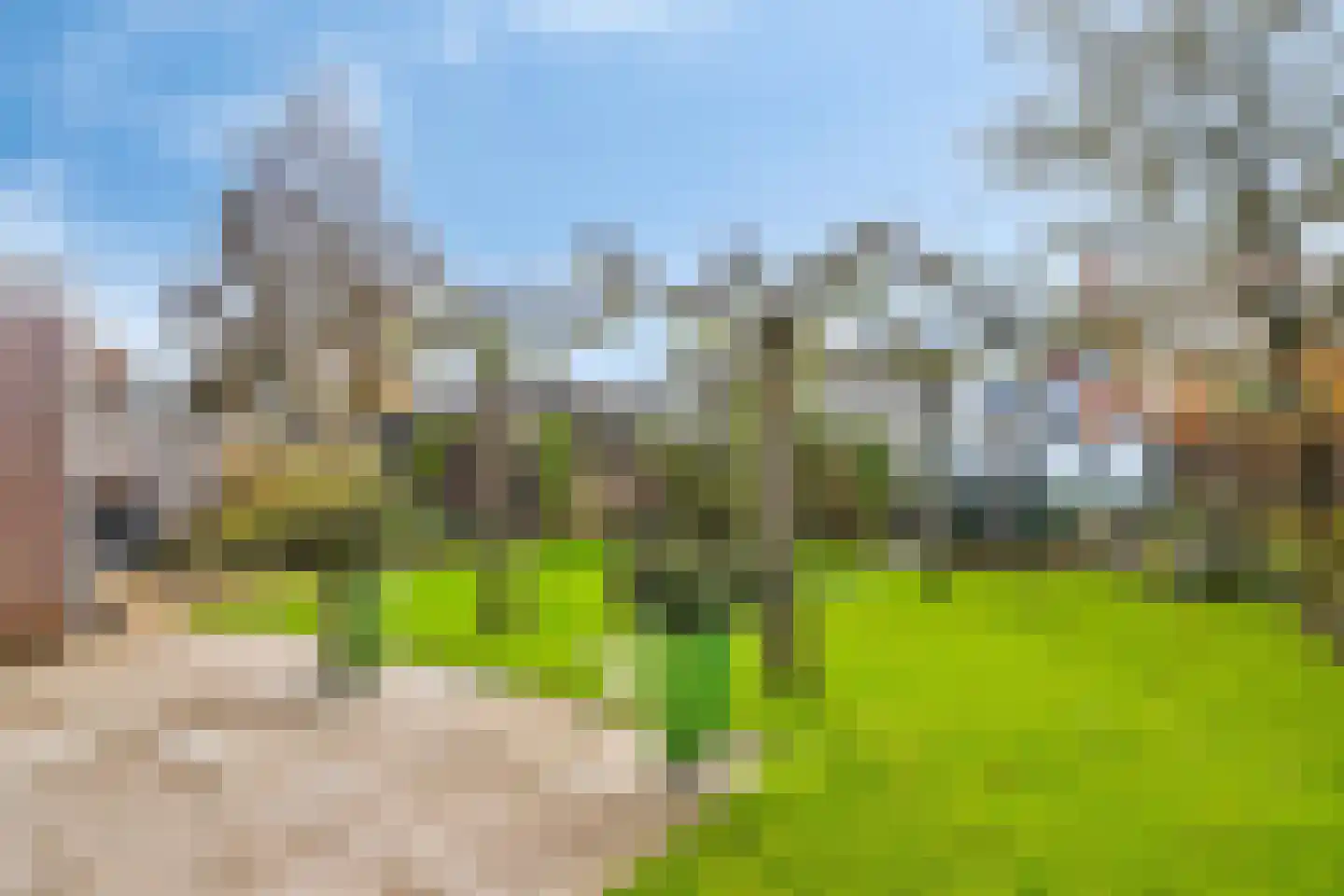 Junobaan 26 Franeker thumbnail 27