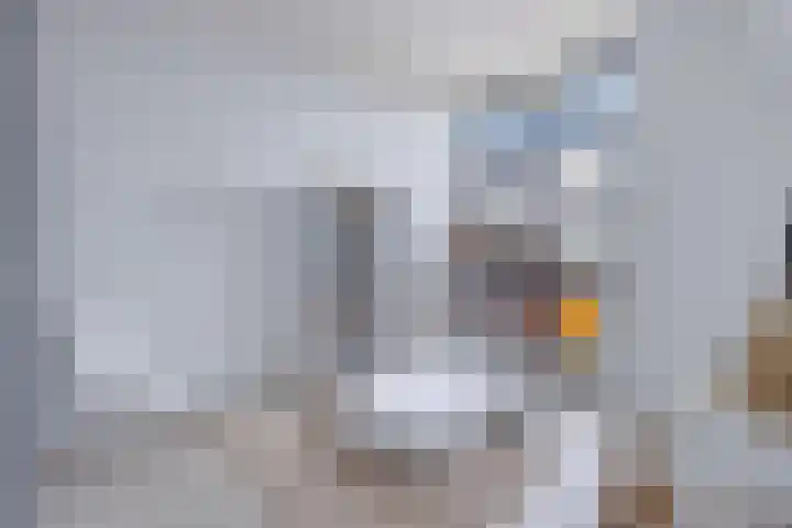Junobaan 26 Franeker thumbnail 27
