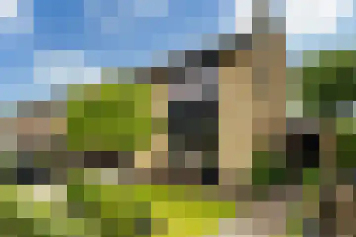 Junobaan 26 Franeker thumbnail 32