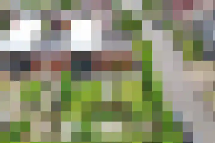 Junobaan 26 Franeker thumbnail 33