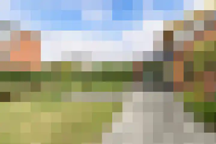 Junobaan 26 Franeker thumbnail 34