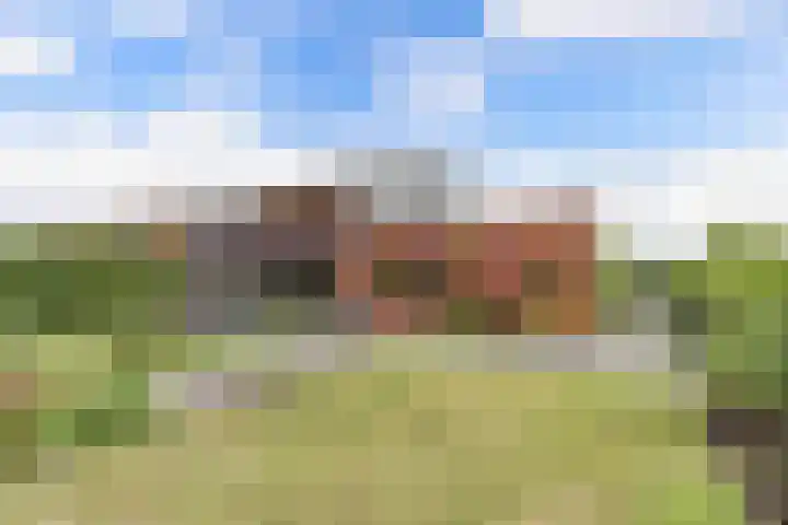 Junobaan 26 Franeker thumbnail 35