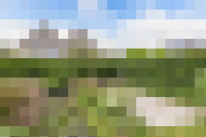 Junobaan 26 Franeker thumbnail 37
